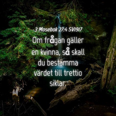 Picture 04 - 3 Mosebok 27:4 SV1917 - Om frågan gäller en kvinna, så skall du - Bible Verse Picture