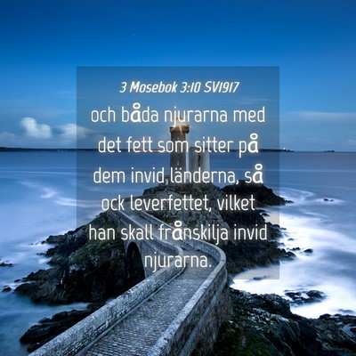 Picture 04 - 3 Mosebok 3:10 SV1917 - och båda njurarna med det fett som sitter på - Bible Verse Picture