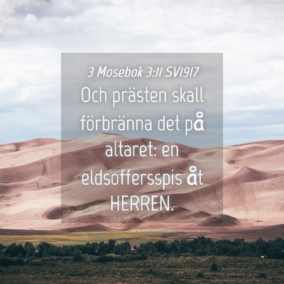 Picture 04 - 3 Mosebok 3:11 SV1917 - Och prästen skall förbränna det på altaret: - Bible Verse Picture