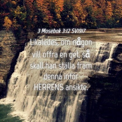 Picture 04 - 3 Mosebok 3:12 SV1917 - Likaledes, om någon vill offra en get, så skall - Bible Verse Picture