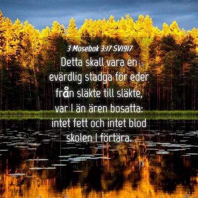 Picture 04 - 3 Mosebok 3:17 SV1917 - Detta skall vara en evärdlig stadga för eder - Bible Verse Picture