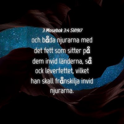 Picture 04 - 3 Mosebok 3:4 SV1917 - och båda njurarna med det fett som sitter på - Bible Verse Picture