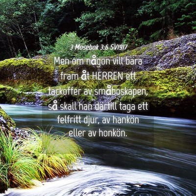 Picture 04 - 3 Mosebok 3:6 SV1917 - Men om någon vill bära fram åt HERREN ett - Bible Verse Picture