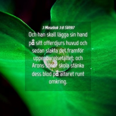 Picture 04 - 3 Mosebok 3:8 SV1917 - Och han skall lägga sin hand på sitt offerdjurs - Bible Verse Picture