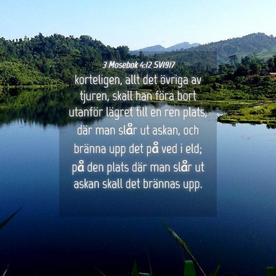 Picture 04 - 3 Mosebok 4:12 SV1917 - korteligen, allt det övriga av tjuren, skall han - Bible Verse Picture