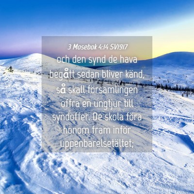 Picture 04 - 3 Mosebok 4:14 SV1917 - och den synd de hava begått sedan bliver känd, - Bible Verse Picture