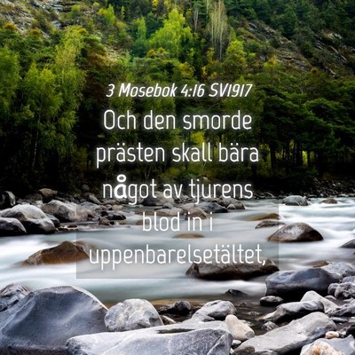 Picture 04 - 3 Mosebok 4:16 SV1917 - Och den smorde prästen skall bära något av - Bible Verse Picture