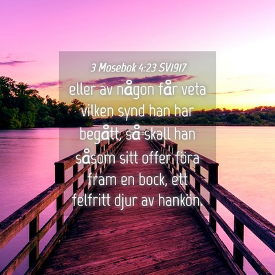 Picture 04 - 3 Mosebok 4:23 SV1917 - eller av någon får veta vilken synd han har - Bible Verse Picture