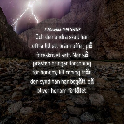 Picture 04 - 3 Mosebok 5:10 SV1917 - Och den andra skall han offra till ett - Bible Verse Picture