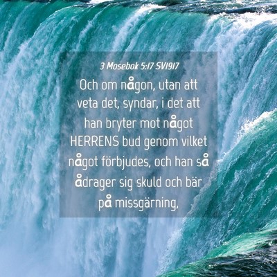 Picture 04 - 3 Mosebok 5:17 SV1917 - Och om någon, utan att veta det, syndar, i det - Bible Verse Picture