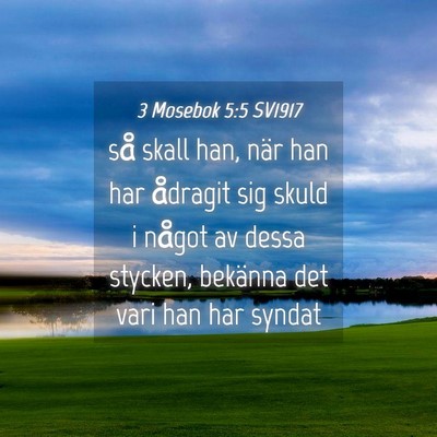 Picture 04 - 3 Mosebok 5:5 SV1917 - så skall han, när han har ådragit sig skuld i - Bible Verse Picture