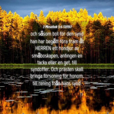 Picture 04 - 3 Mosebok 5:6 SV1917 - och såsom bot för den synd han har begått - Bible Verse Picture