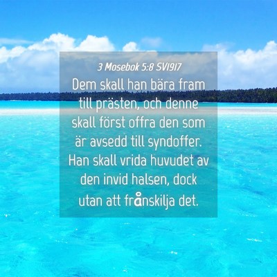Picture 04 - 3 Mosebok 5:8 SV1917 - Dem skall han bära fram till prästen, och denne - Bible Verse Picture