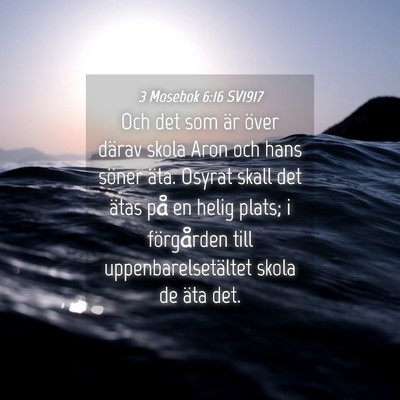 Picture 04 - 3 Mosebok 6:16 SV1917 - Och det som är över därav skola Aron och hans - Bible Verse Picture
