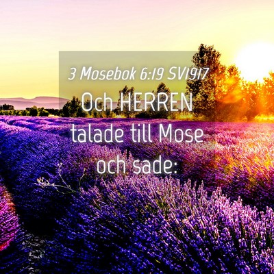 Picture 04 - 3 Mosebok 6:19 SV1917 - Och HERREN talade till Mose och - Bible Verse Picture