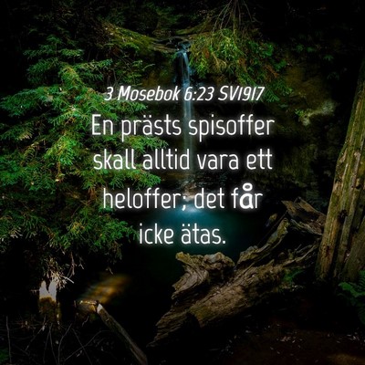 Picture 04 - 3 Mosebok 6:23 SV1917 - En prästs spisoffer skall alltid vara ett - Bible Verse Picture