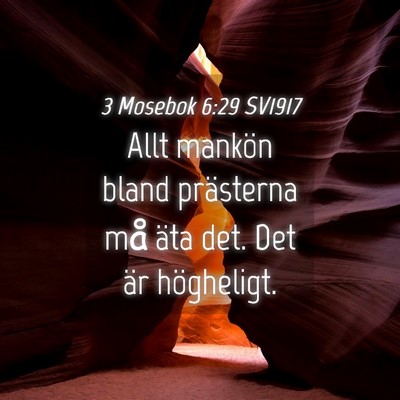 Picture 04 - 3 Mosebok 6:29 SV1917 - Allt mankön bland prästerna må äta det. Det - Bible Verse Picture