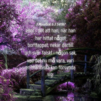 Picture 04 - 3 Mosebok 6:3 SV1917 - eller i det att han, när han har hittat något - Bible Verse Picture