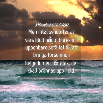 Picture 04 - 3 Mosebok 6:30 SV1917 - Men intet syndoffer av vars blod något bäres in - Bible Verse Picture