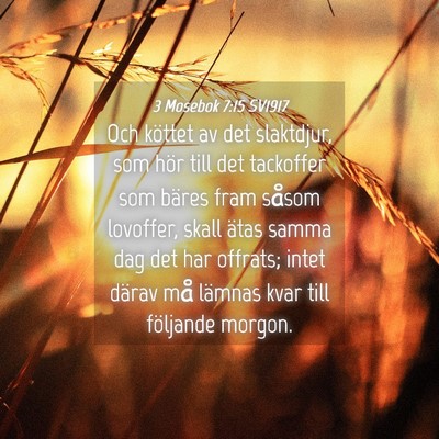 Picture 04 - 3 Mosebok 7:15 SV1917 - Och köttet av det slaktdjur, som hör till det - Bible Verse Picture