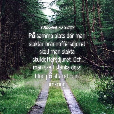 Picture 04 - 3 Mosebok 7:2 SV1917 - På samma plats där man slaktar - Bible Verse Picture