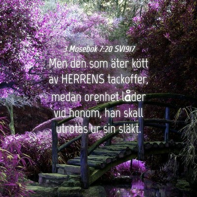 Picture 04 - 3 Mosebok 7:20 SV1917 - Men den som äter kött av HERRENS tackoffer, - Bible Verse Picture