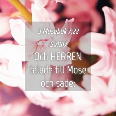Picture 04 - 3 Mosebok 7:22 SV1917 - Och HERREN talade till Mose och - Bible Verse Picture