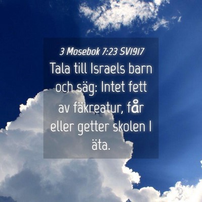 Picture 04 - 3 Mosebok 7:23 SV1917 - Tala till Israels barn och säg: Intet fett av - Bible Verse Picture