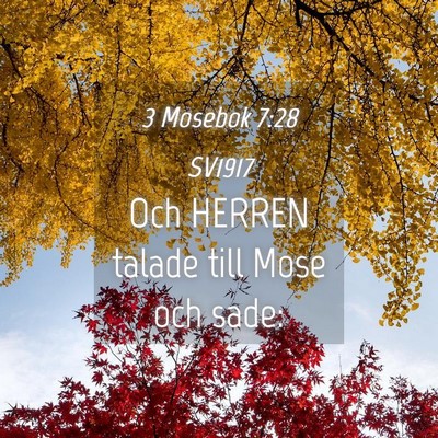 Picture 04 - 3 Mosebok 7:28 SV1917 - Och HERREN talade till Mose och - Bible Verse Picture