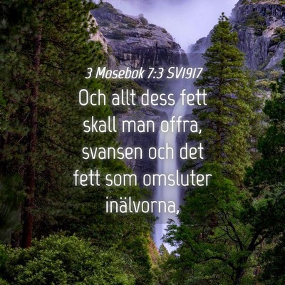 Picture 04 - 3 Mosebok 7:3 SV1917 - Och allt dess fett skall man offra, svansen och - Bible Verse Picture
