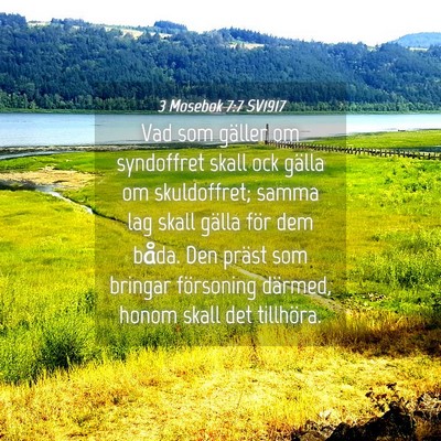 Picture 04 - 3 Mosebok 7:7 SV1917 - Vad som gäller om syndoffret skall ock gälla om - Bible Verse Picture