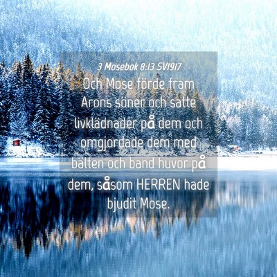Picture 04 - 3 Mosebok 8:13 SV1917 - Och Mose förde fram Arons söner och satte - Bible Verse Picture