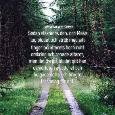 Picture 04 - 3 Mosebok 8:15 SV1917 - Sedan slaktades den, och Mose tog blodet och - Bible Verse Picture