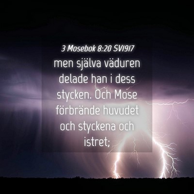 Picture 04 - 3 Mosebok 8:20 SV1917 - men själva väduren delade han i dess stycken. - Bible Verse Picture