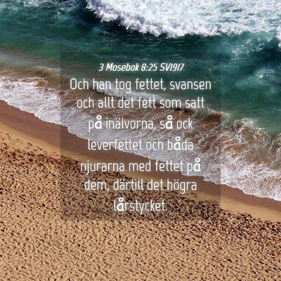 Picture 04 - 3 Mosebok 8:25 SV1917 - Och han tog fettet, svansen och allt det fett som - Bible Verse Picture
