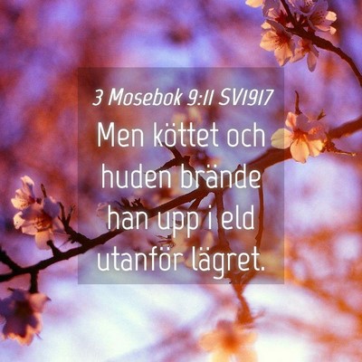 Picture 04 - 3 Mosebok 9:11 SV1917 - Men köttet och huden brände han upp i eld - Bible Verse Picture