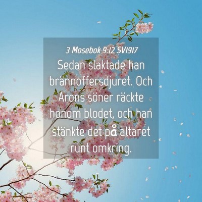 Picture 04 - 3 Mosebok 9:12 SV1917 - Sedan slaktade han brännoffersdjuret. Och Arons - Bible Verse Picture
