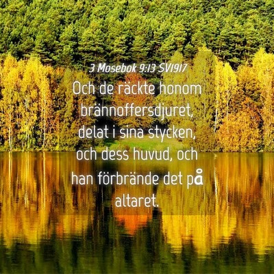 Picture 04 - 3 Mosebok 9:13 SV1917 - Och de räckte honom brännoffersdjuret, delat i - Bible Verse Picture