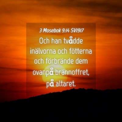 Picture 04 - 3 Mosebok 9:14 SV1917 - Och han tvådde inälvorna och fötterna och - Bible Verse Picture