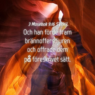 Picture 04 - 3 Mosebok 9:16 SV1917 - Och han förde fram brännoffersdjuren och - Bible Verse Picture