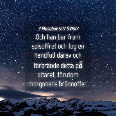 Picture 04 - 3 Mosebok 9:17 SV1917 - Och han bar fram spisoffret och tog en handfull - Bible Verse Picture