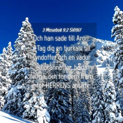 Picture 04 - 3 Mosebok 9:2 SV1917 - Och han sade till Aron: »Tag dig en tjurkalv - Bible Verse Picture