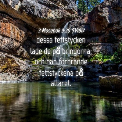 Picture 04 - 3 Mosebok 9:20 SV1917 - dessa fettstycken lade de på bringorna; och han - Bible Verse Picture
