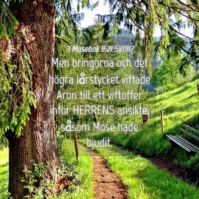 Picture 04 - 3 Mosebok 9:21 SV1917 - Men bringorna och det högra lårstycket viftade - Bible Verse Picture