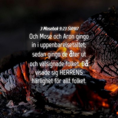 Picture 04 - 3 Mosebok 9:23 SV1917 - Och Mose och Aron gingo in i uppenbarelsetältet; - Bible Verse Picture