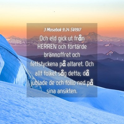 Picture 04 - 3 Mosebok 9:24 SV1917 - Och eld gick ut från HERREN och förtärde - Bible Verse Picture