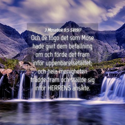 Picture 04 - 3 Mosebok 9:5 SV1917 - Och de togo det som Mose hade givit dem - Bible Verse Picture