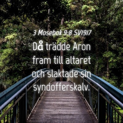 Picture 04 - 3 Mosebok 9:8 SV1917 - Då trädde Aron fram till altaret och slaktade - Bible Verse Picture