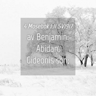 Picture 04 - 4 Mosebok 1:11 SV1917 - av Benjamin: Abidan, Gideonis - Bible Verse Picture