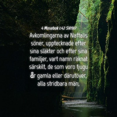 Picture 04 - 4 Mosebok 1:42 SV1917 - Avkomlingarna av Naftalis söner, upptecknade - Bible Verse Picture